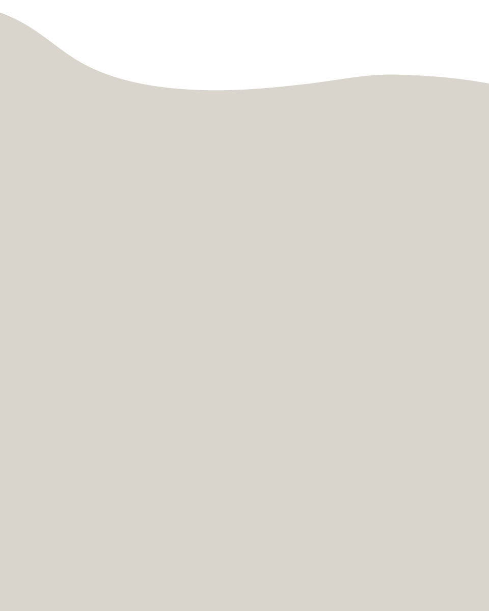 schools｜優質學區