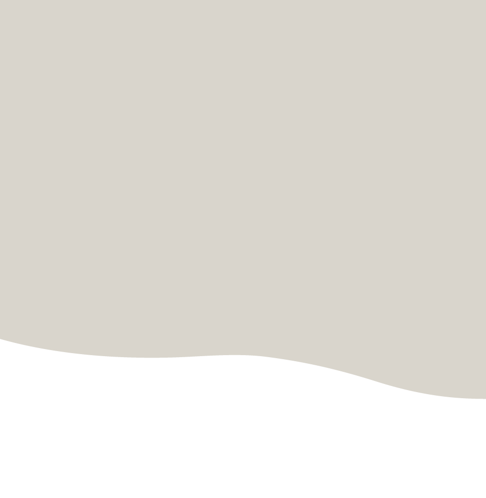 traffic｜便捷交通